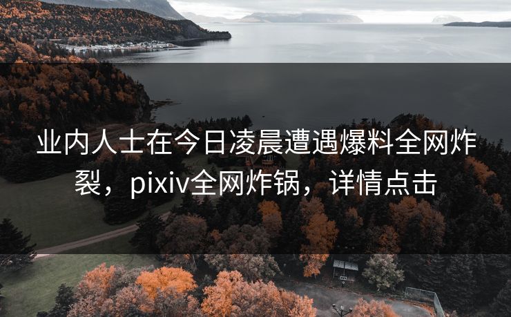 业内人士在今日凌晨遭遇爆料全网炸裂，pixiv全网炸锅，详情点击