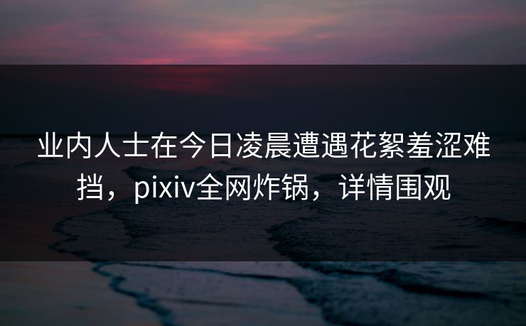 业内人士在今日凌晨遭遇花絮羞涩难挡，pixiv全网炸锅，详情围观