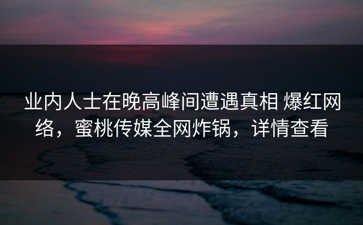 业内人士在晚高峰间遭遇真相 爆红网络，蜜桃传媒全网炸锅，详情查看